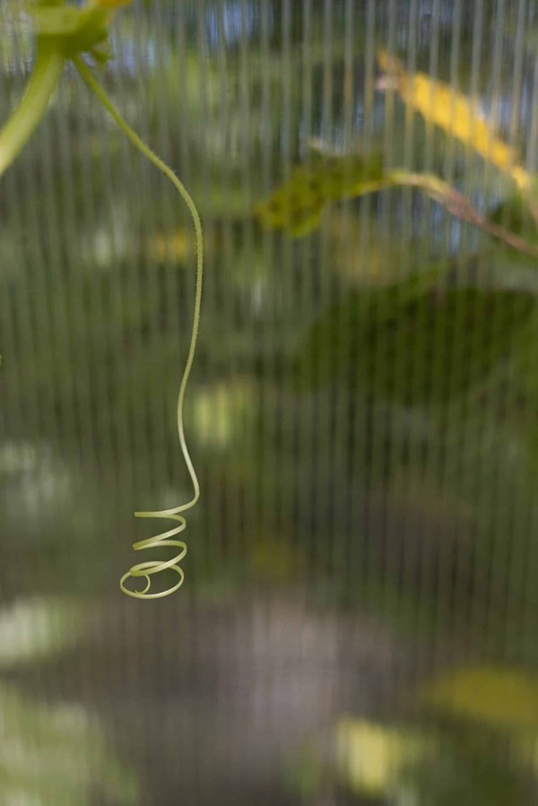 What Are the Best Techniques for Small UK Publishers to Adapt to the Digital Age?